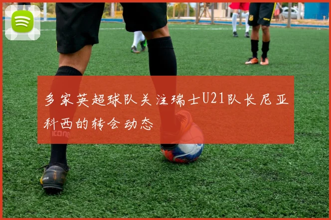 多家英超球队关注瑞士U21队长尼亚科西的转会动态